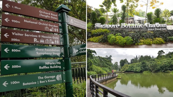 Things To do in Singapore? Visit Singapore Botanic Gardens