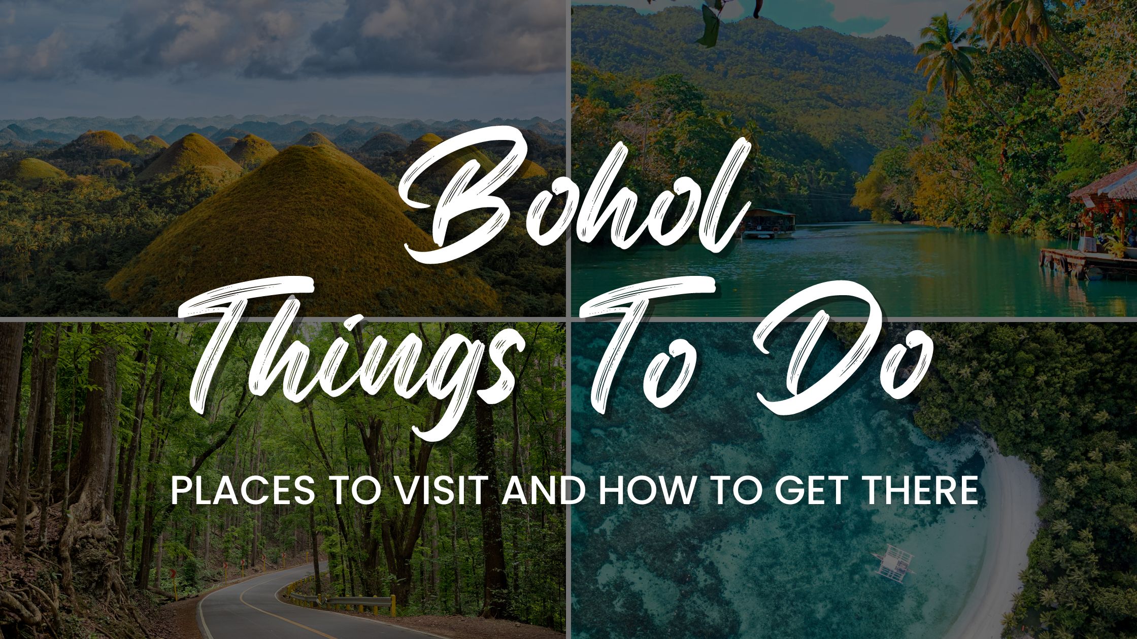 Bohol's Ultimate Adventure: Thrilling Activities to Try in 2025