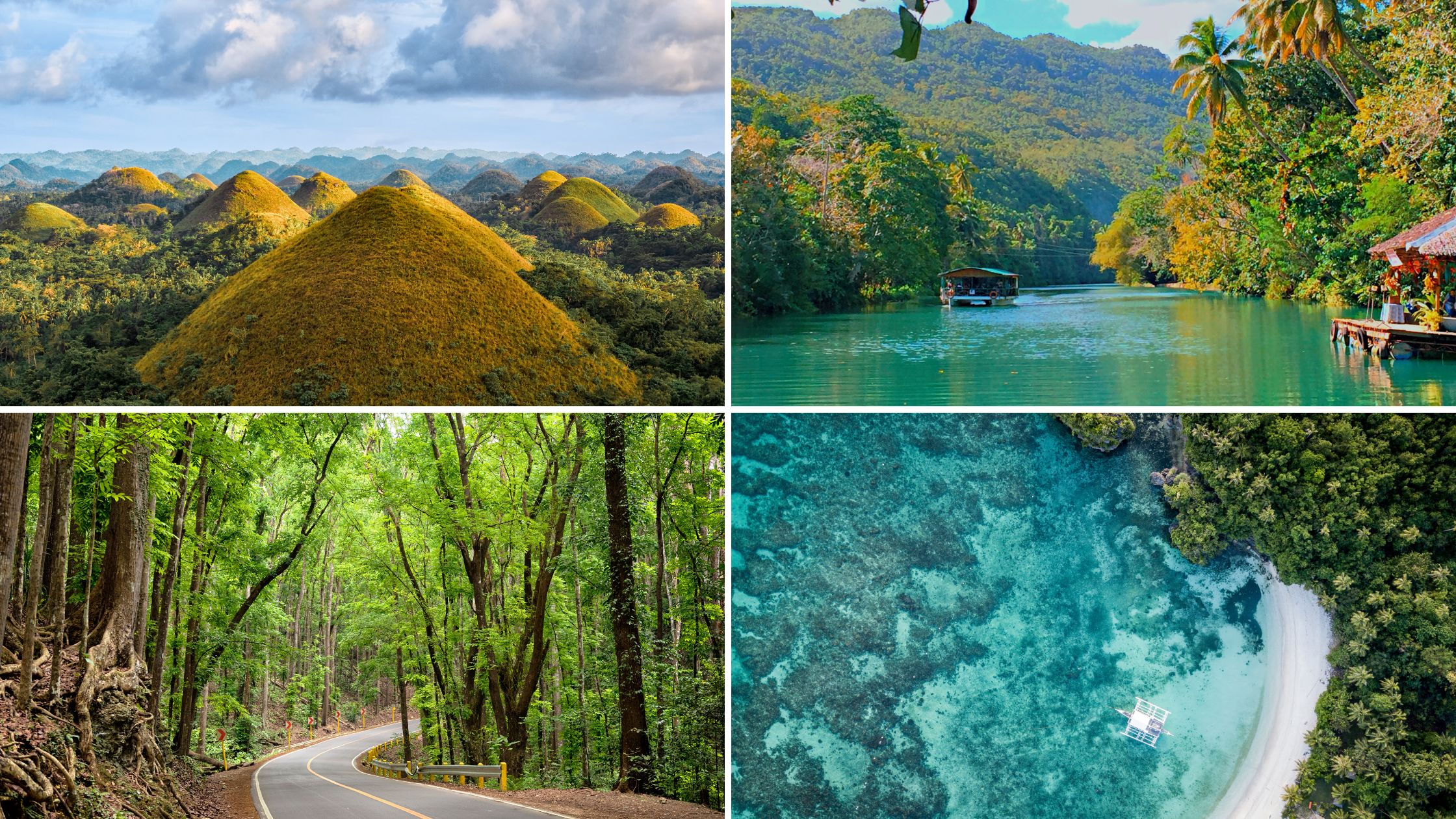 Bohol's Ultimate Adventure: Thrilling Activities to Try in 2025